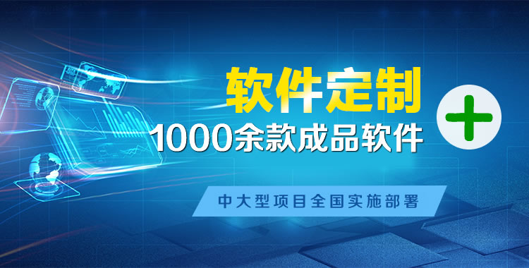 阳西软件开发